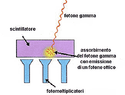 principio di funzionamento di un telescopio gamma basato su assorbimento fotoelettrico